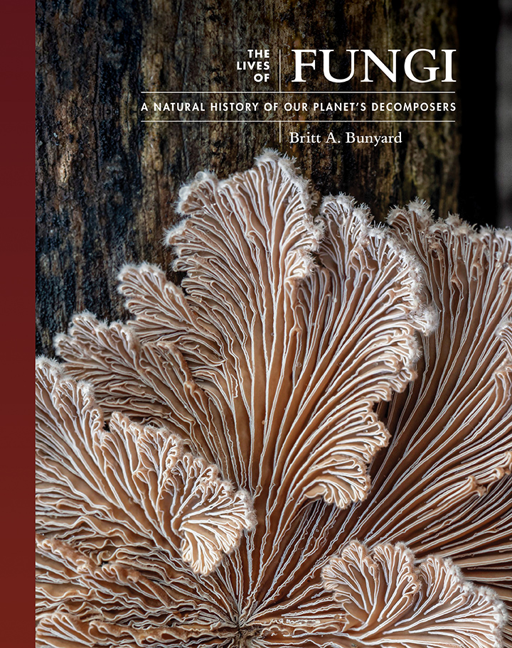 THE LIVES OF FUNGI. A NATURAL HISTORY OF OUR PLANET'S DECOMPOSERS 1