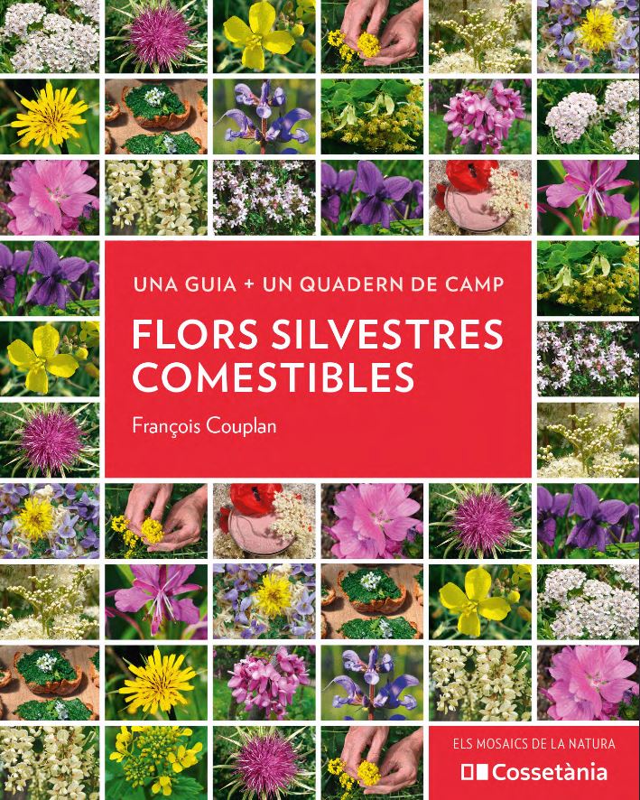 FLORS SILVESTRES COMESTIBLES. UNA GUIA + UN QUADERN DE CAMP 1