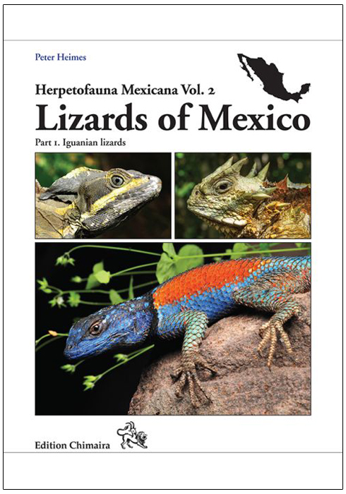 LIZARDS OF MEXICO PART 1 IGUANIAN LIZARDS 1