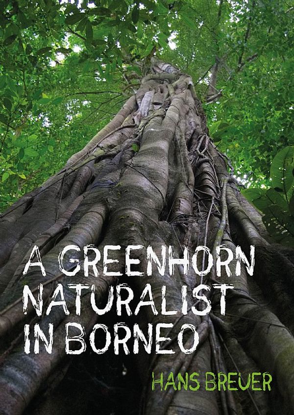 A GREENHORN NATURALIST IN BORNEO 1