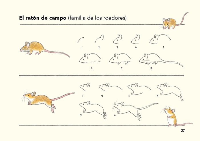 CÓMO SON LOS ANIMALES Y CÓMO DIBUJARLOS 2