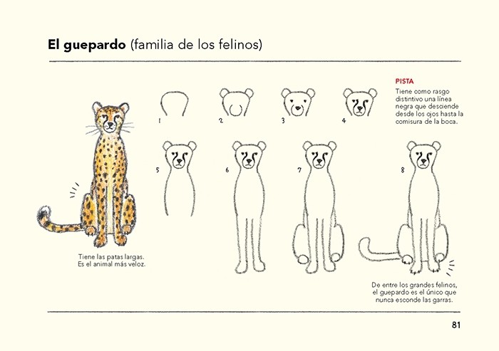 CÓMO SON LOS ANIMALES Y CÓMO DIBUJARLOS 3