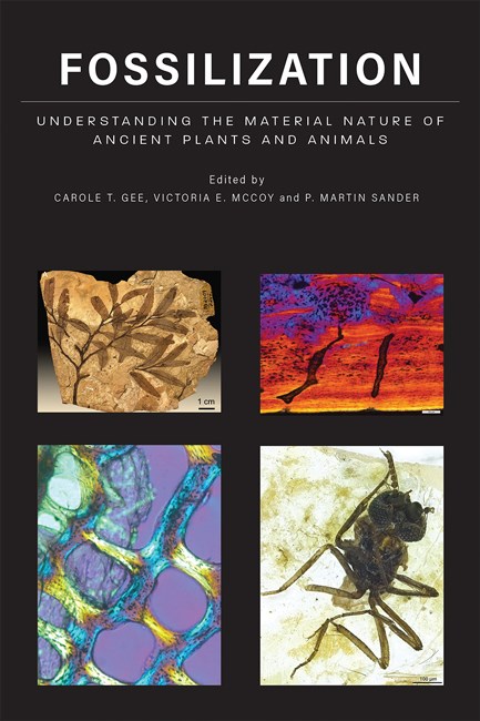 FOSSILIZATION. UNDERSTANDING THE MATERIAL NATURE OF OF ANCIENT PLANTS AND ANIMALS 1