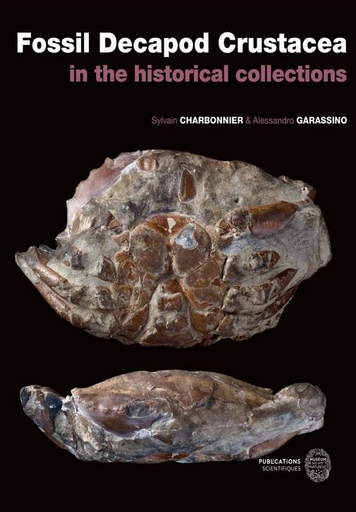FOSSIL DECAPOD CRUSTACEA IN THE HISTORICAL COLLECTION 1