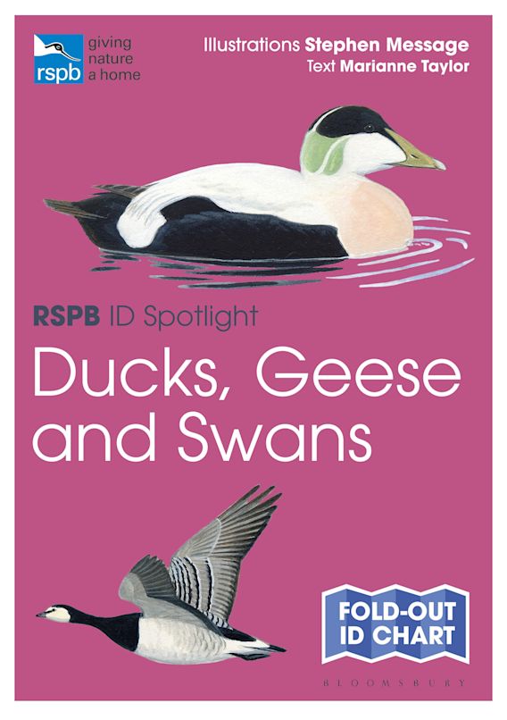 RSPB ID SPOTLIGHT: DUCKS, GEESE AND SWANS 1