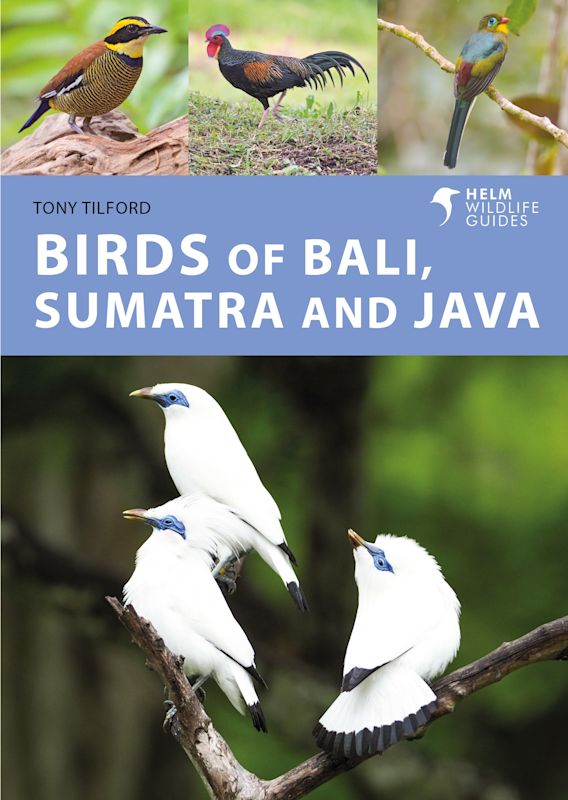 BIRDS OF BALI, SUMATRA AND JAVA 1