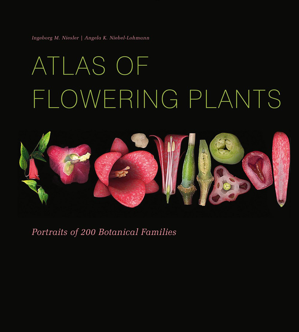 ATLAS OF FLOWERING PLANTS 1