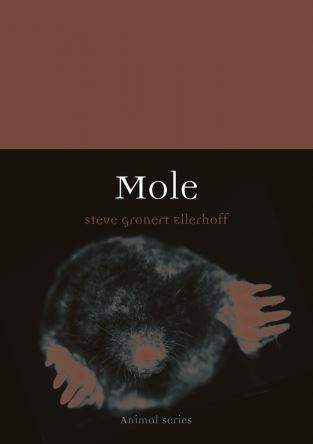 MOLE. ANIMAL SERIES 1