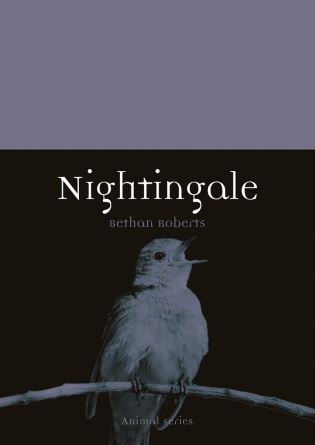 NIGHTINGALE 1