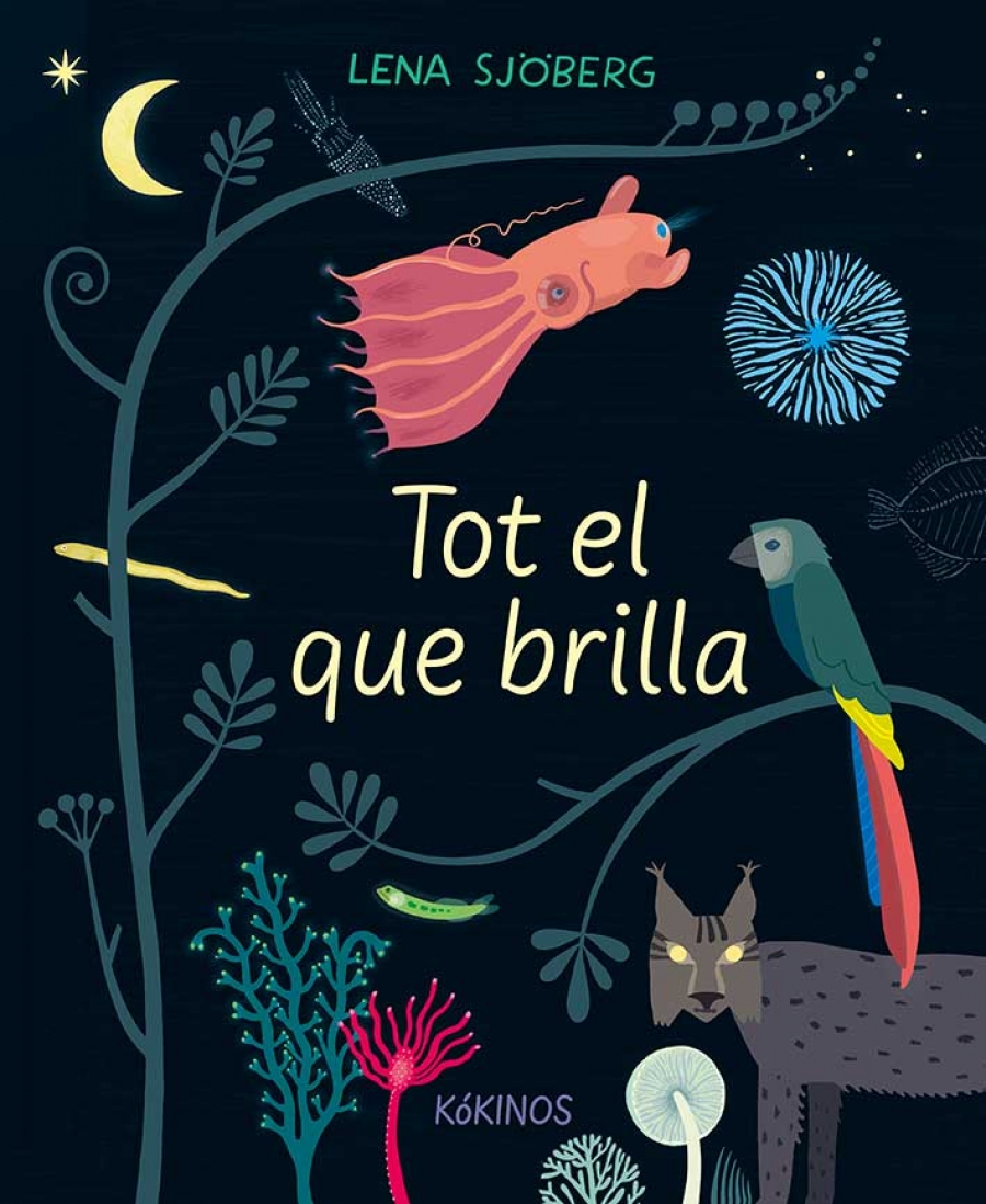 TOT EL QUE BRILLA 1