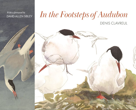 IN THE FOOTSTEPS OF AUDUBON 1