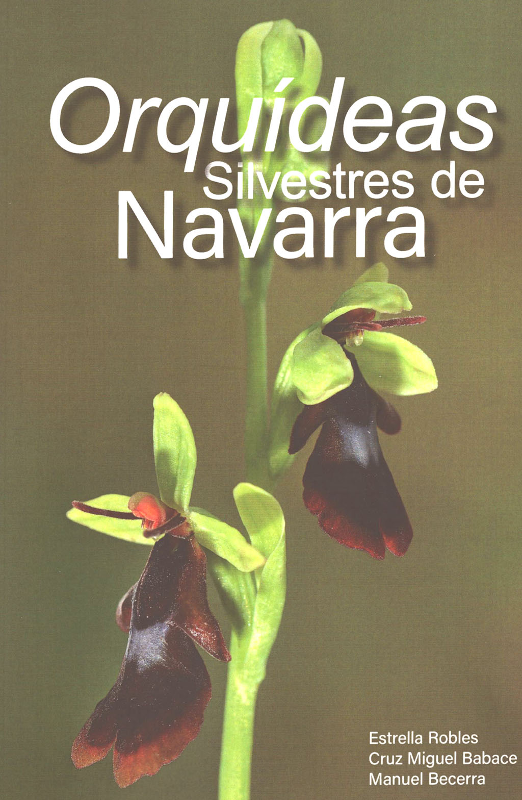 ORQUÍDEAS SILVESTRES DE NAVARRA 1