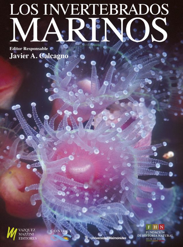 LOS INVERTEBRADOS MARINOS 1