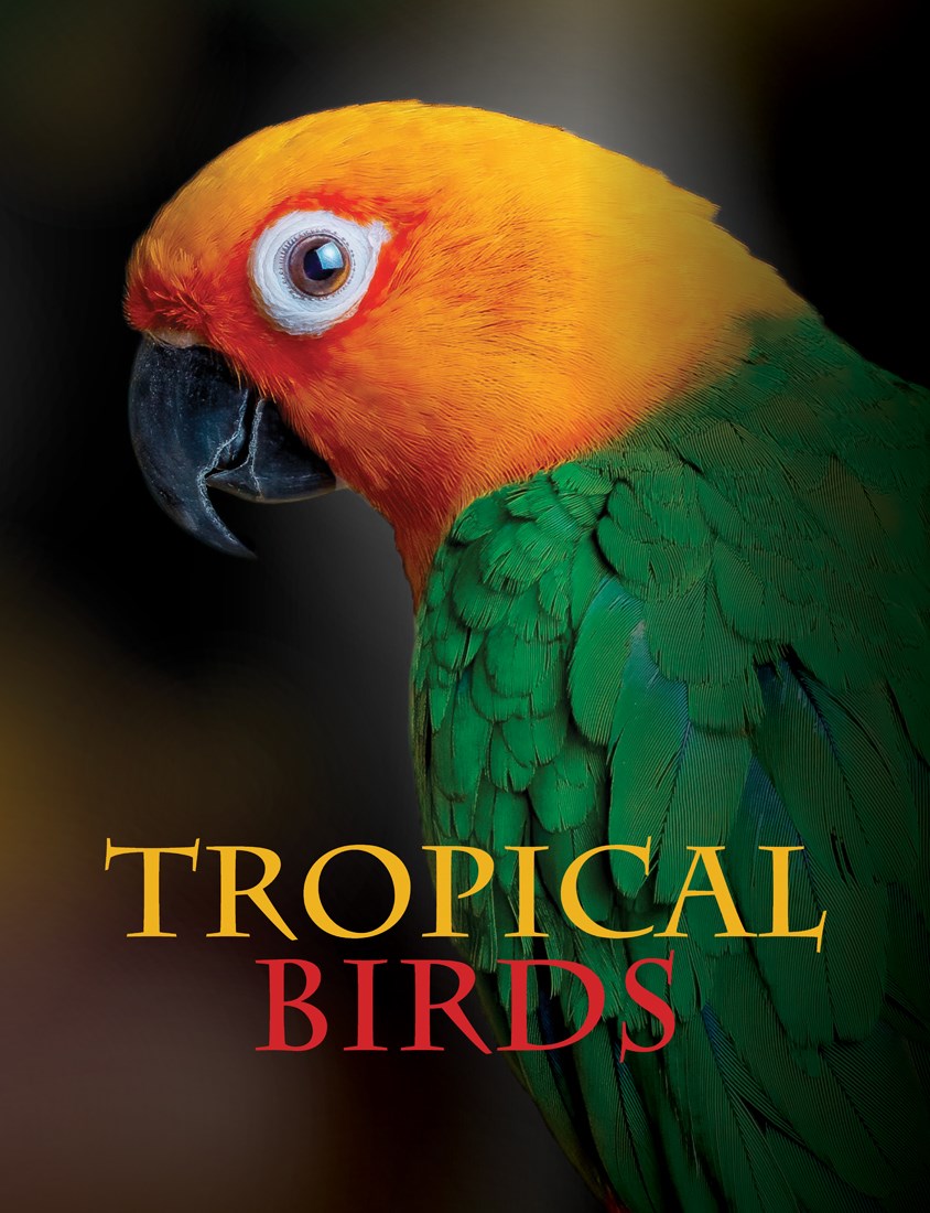 TROPICAL BIRDS 1