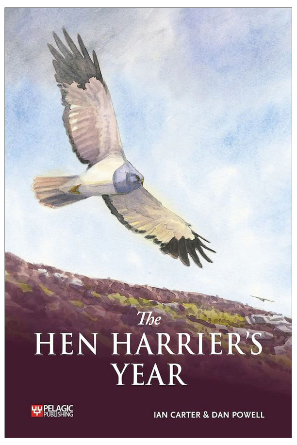 THE HEN HARRIER'S YEAR 1