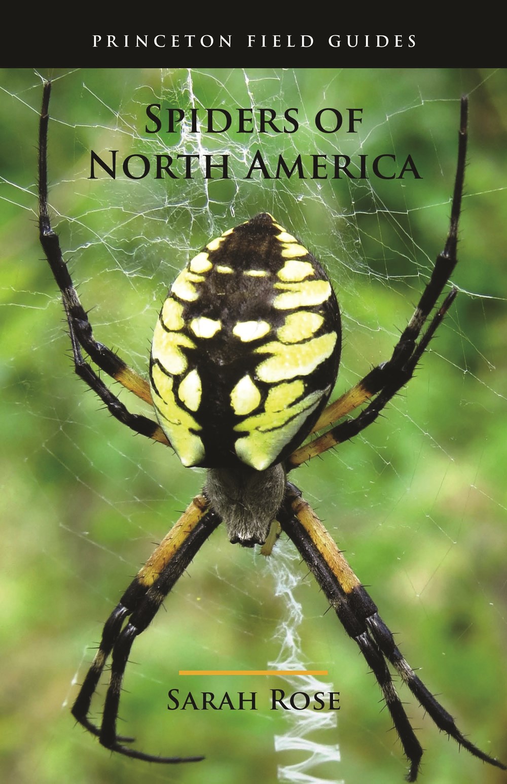 PRINCETON FIELD GUIDE SPIDERS OF NORTH AMERICA 1