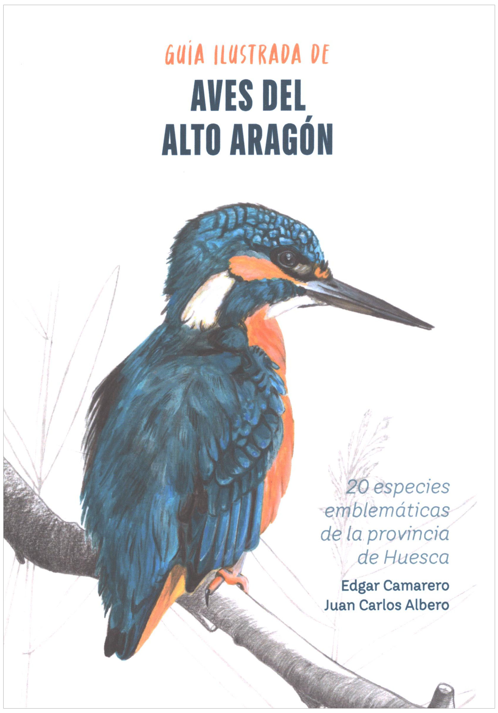 GUÍA ILUSTRADA DE AVES DEL ALTO ARAGÓN. 20 ESPECIES EMBLEMÁTICAS DE LA PROVINCIA DE HUESCA 1