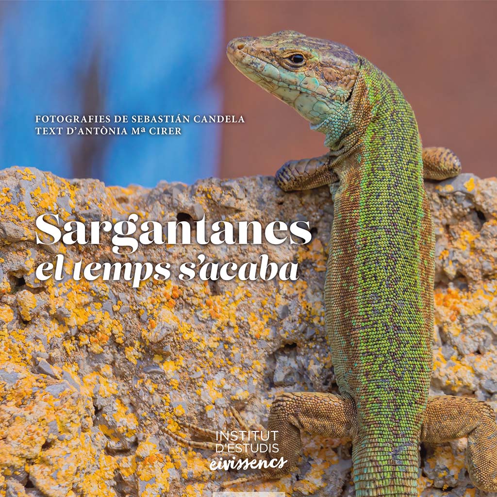SARGANTANES EL TEMPS S'ACABA 1