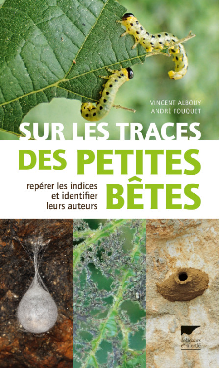 SUR LES TRACES DES PETITES BÊTES 1