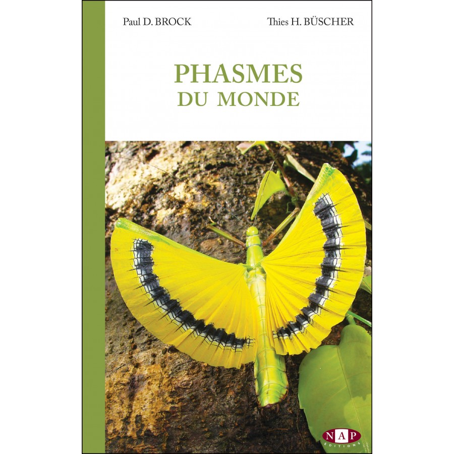 PHASMES DU MONDE 1