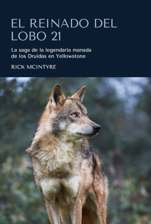 EL REINADO DEL LOBO 21. LA SAGA DE LA LEGENDARIA MANADA DE LOS DRUIDAS EN YELLOWSTONE 1