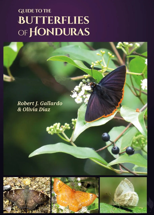 GUIDE TO THE BUTTERFLIES OF HONDURAS 1