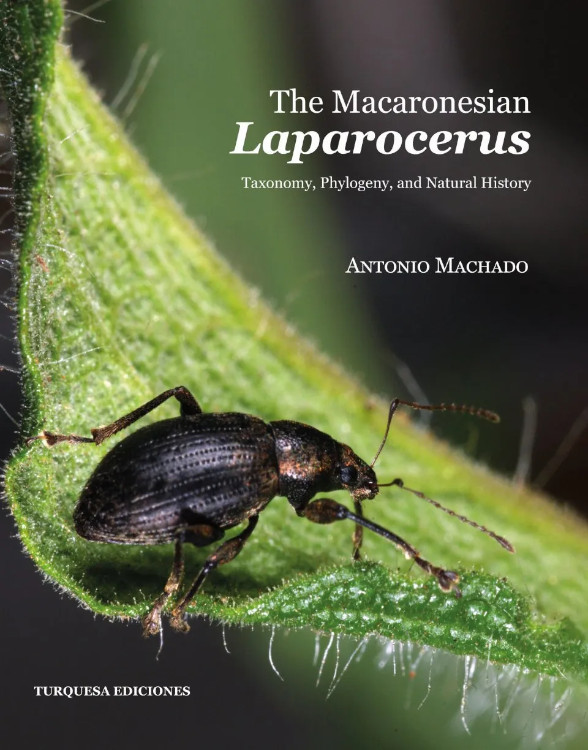 THE MACARONESIAN LAPAROCERUS. TAXONOMY, PHYLOGENY AND NATURAL HISTORY 1