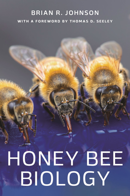 HONEY BEE BIOLOGY 1