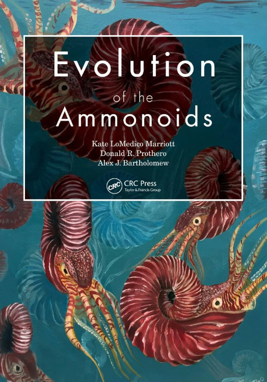 EVOLUTION OF THE AMMONOIDS 1