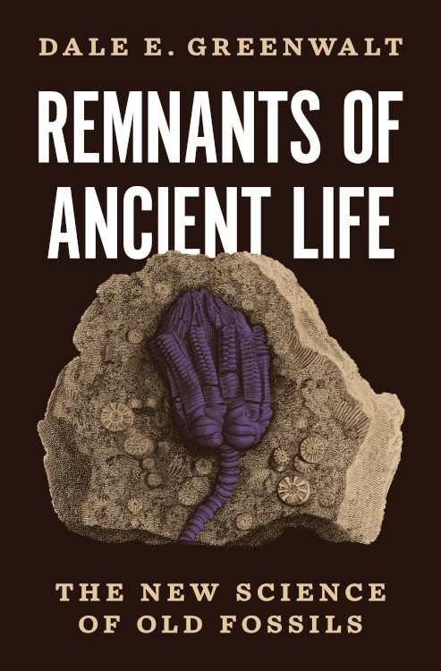 REMNANTS OF ANCIENT LIFE: THE NEW SCIENCE OF OLD FOSSILS 1