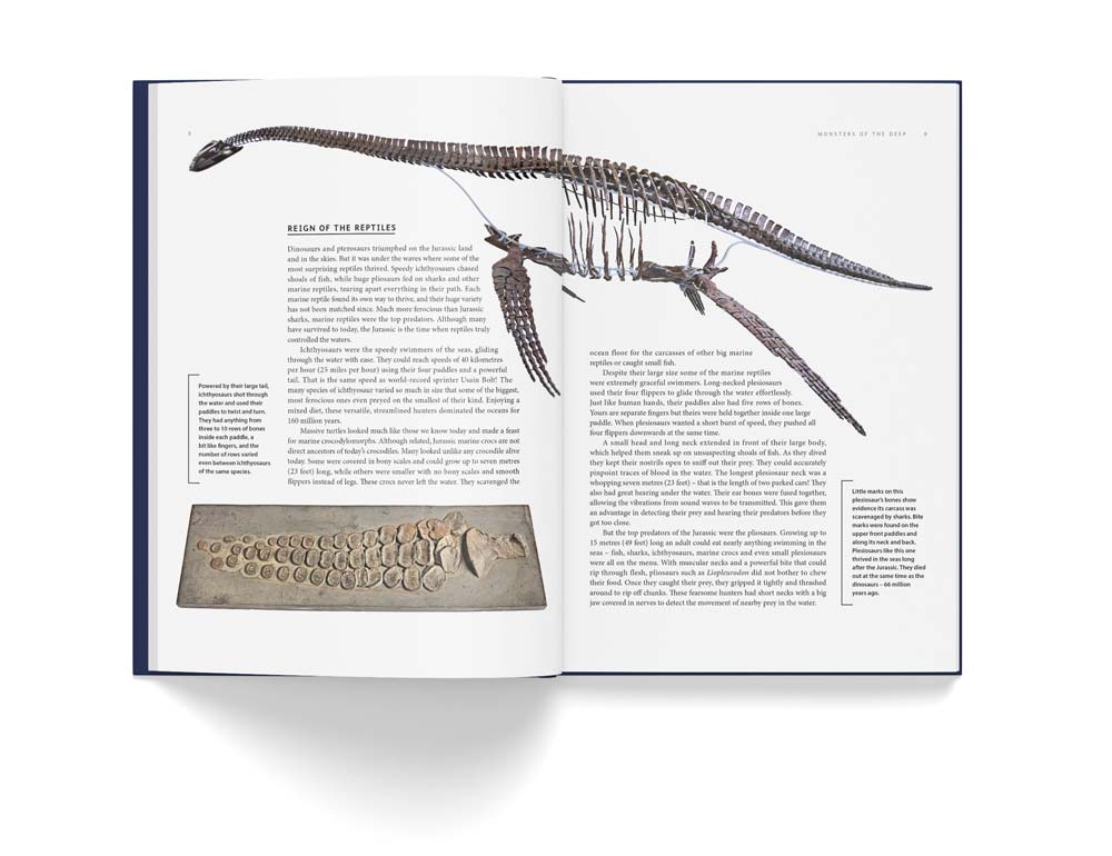 ANCIENT SEA REPTILES. PLEIOSAURS, ICHTHYOSAURS, MOSASAURS &AMP; MORE 2
