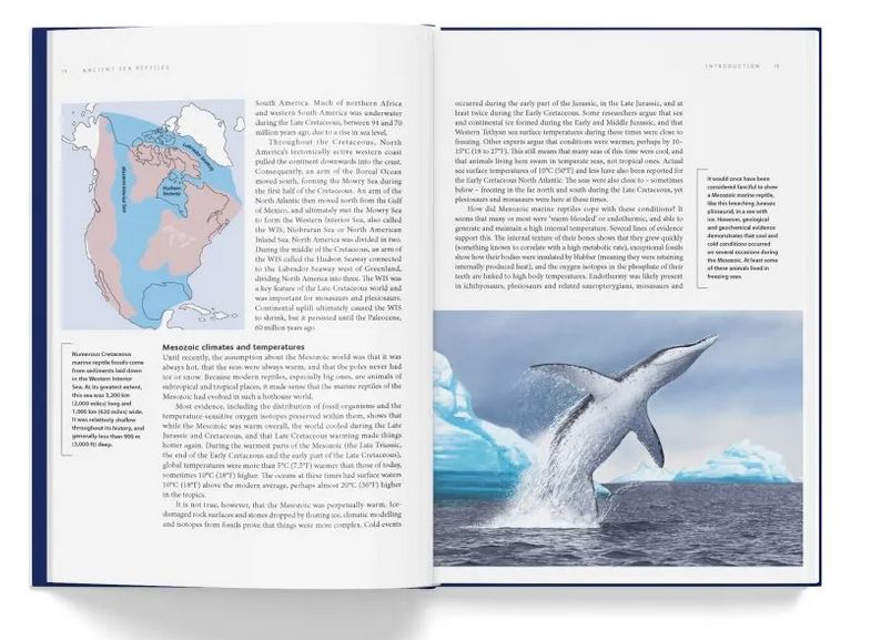 ANCIENT SEA REPTILES. PLEIOSAURS, ICHTHYOSAURS, MOSASAURS &AMP; MORE 3