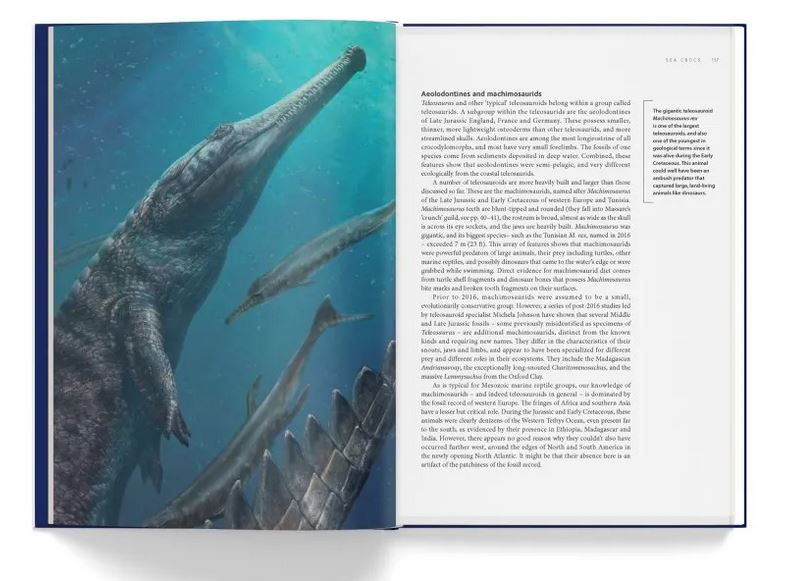 ANCIENT SEA REPTILES. PLEIOSAURS, ICHTHYOSAURS, MOSASAURS &AMP; MORE 4