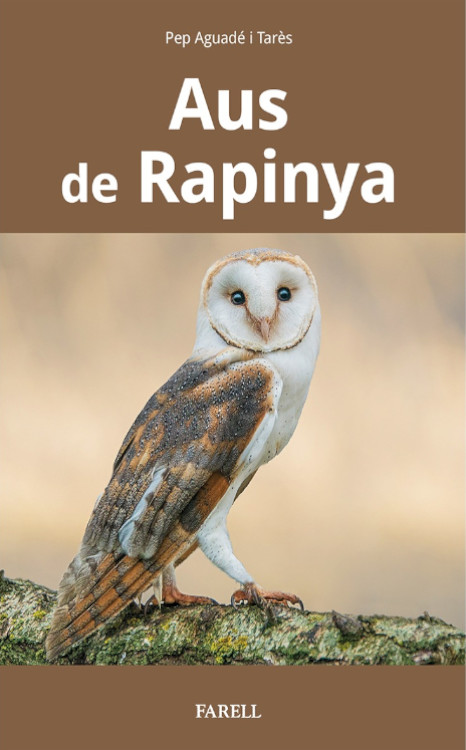AUS DE RAPINYA 1