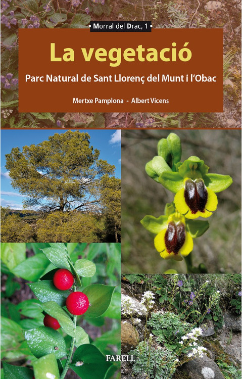 LA VEGETACIÓ. PARC NATURAL DE SANT LLORENÇ DEL MUNT I L'OBAC 1