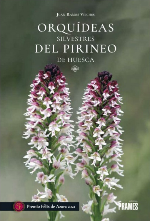 ORQUÍDEAS SILVESTRES DEL PIRINEO DE HUESCA 1