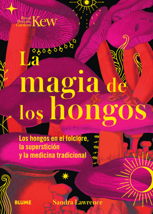 LA MAGIA DE LOS HONGOS 1