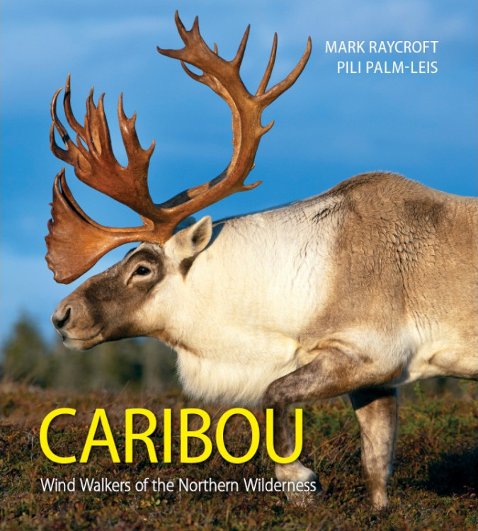 CARIBOU. WIND WALKERS OF THE NORTHERN WILDERNESS 1