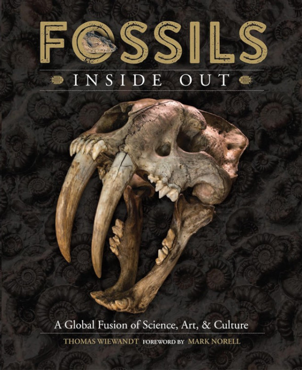 FOSSILS. INSIDE OUT 1
