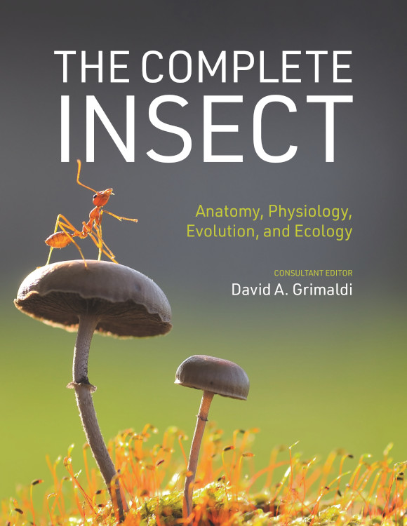 THE COMPLETE INSECT: ANATOMY, PHYSIOLOGY, EVOLUTION, AND ECOLOGY 1
