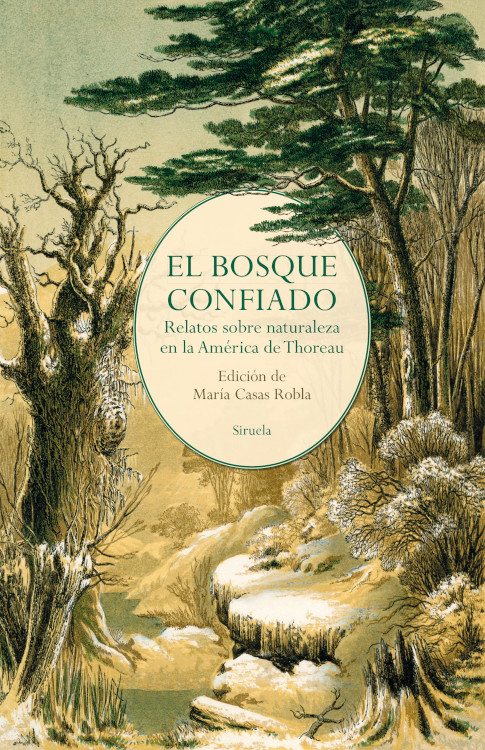 EL BOSQUE CONFIADO 1