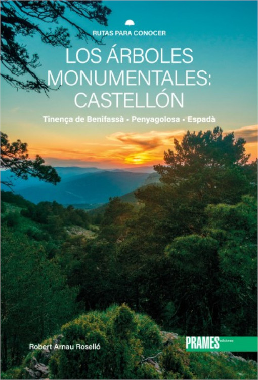 LOS ÁRBOLES MONUMENTALES: CASTELLÓN 1