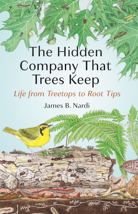 THE HIDDEN COMPANY THAT TREES KEEP. LIFE FROM TREETOPS TO ROOT TIPS 1