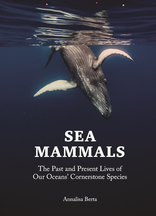 SEA MAMMALS: THE PAST AND PRESENT LIVES OF OUR OCEANS' CORNERSTONE SPECIES 1