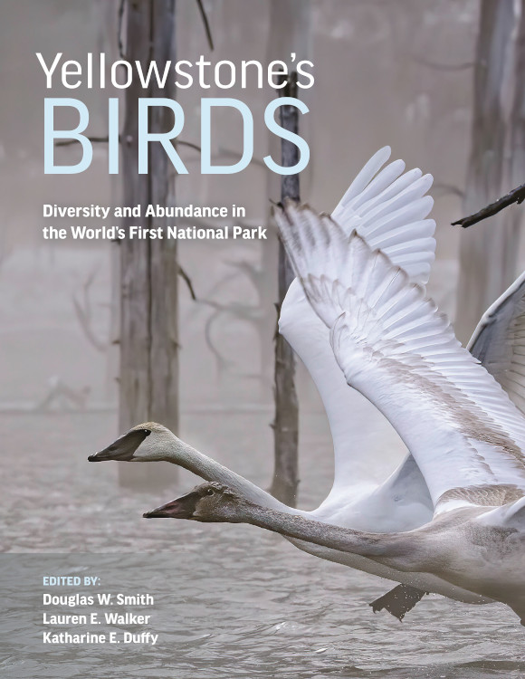 YELLOWSTONE'S BIRDS: DIVERSITY AND ABUNDANCE IN THE WORLD'S FIRST NATIONAL PARK 1