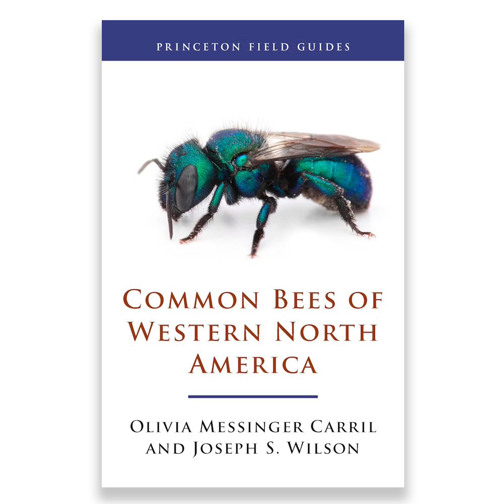 PRINCETON FIELD GUIDES COMMON BEES OF WESTERN NORTH AMERICA 1