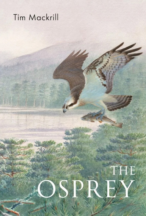 THE OSPREY 1