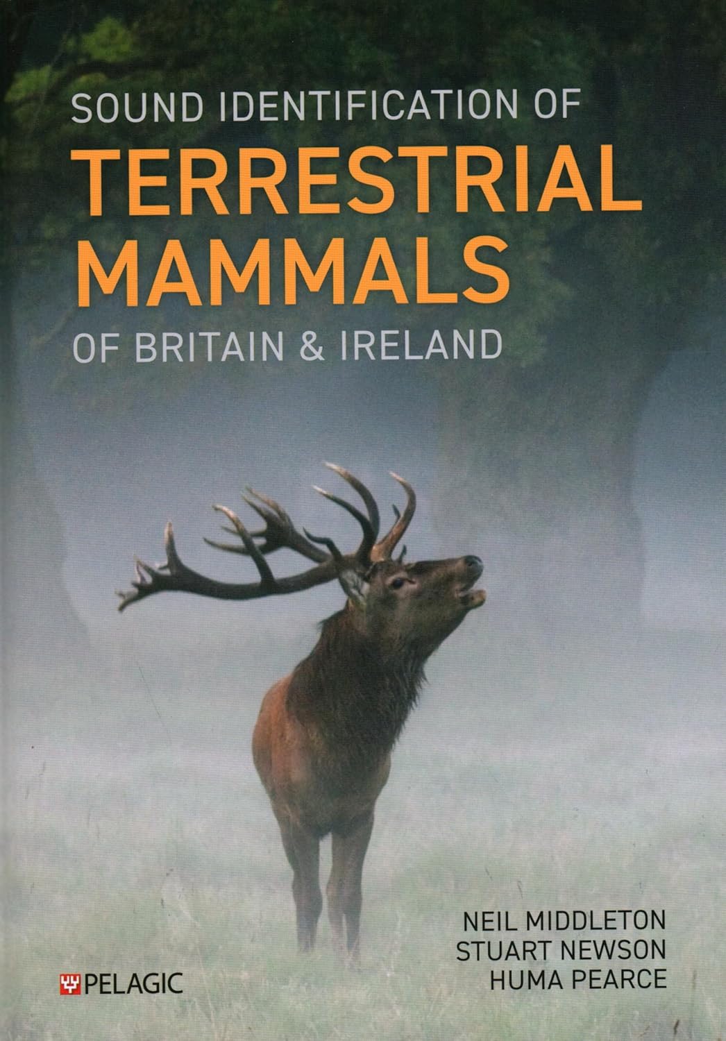 SOUND IDENTIFICATION OF TERRESTRIAL MAMMALS OF BRITAIN &AMP; IRELAND 1