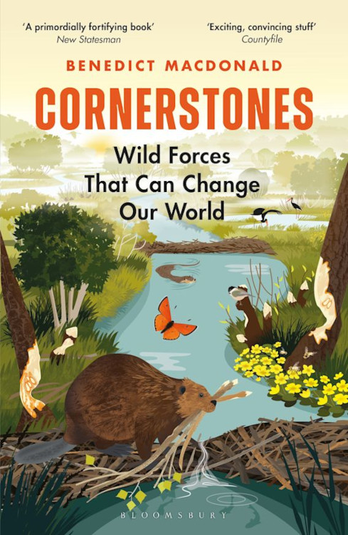 CORNERSTONES. WILD FORCES THAT CAN CHANGE OUR WORLD 1