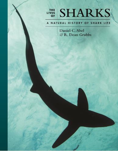 THE LIVES OF SHARKS: A NATURAL HISTORY SHARK LIFE 1